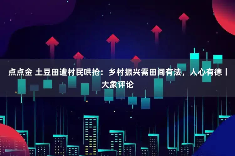 点点金 土豆田遭村民哄抢：乡村振兴需田间有法，人心有德丨大象评论