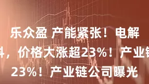 乐众盈 产能紧张！电解液关键材料，价格大涨超23%！产业链公司曝光