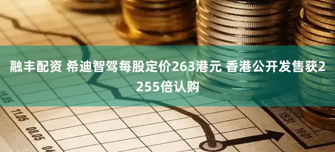 融丰配资 希迪智驾每股定价263港元 香港公开发售获2255倍认购